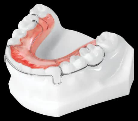 Circumferential Retainer (Lower)