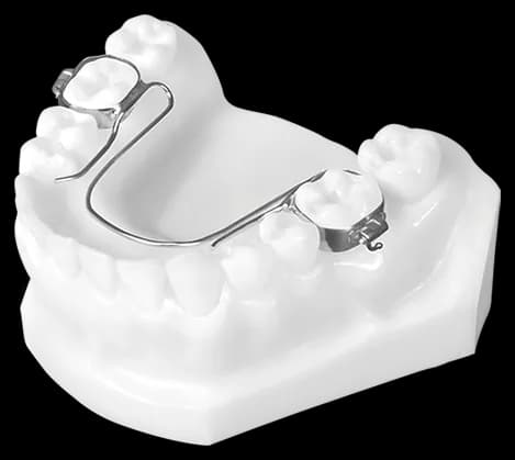 W-Arch (Lower)